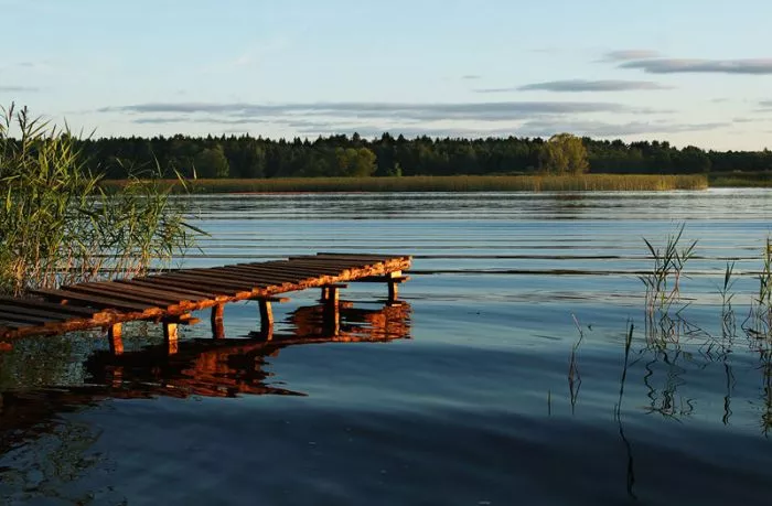 39525_800x600_2.jpg