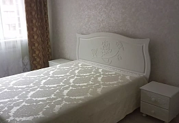 Apartments for daily rent in Lviv near Central Bus Station (8)