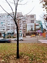 2 rooms daily in Mykolayiv. TSentralnyy district, TSentralnyy Ave., 140 &mdash; 1001592614 image 37