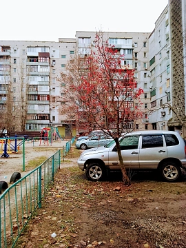 2 rooms daily in Mykolayiv. TSentralnyy district, TSentralnyy Ave., 140 &mdash; 1001592614 image 19