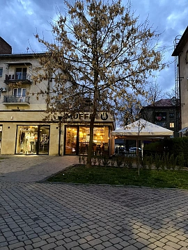 1 room daily in Uzhhorod. Svobody Ave., 38 &mdash; 1001607298 image 6