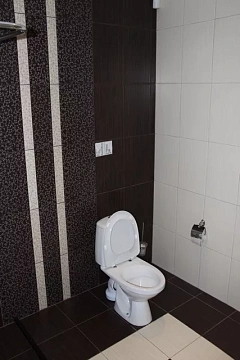 house daily in Berehovo. Mukachevskaya St., 170 &mdash; 119059084 image 6