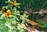 mini-hotels daily in Lviv. ZHeleznodorozhnyy district, Kooperativnaya St., 1 &mdash; 908523771 image 30
