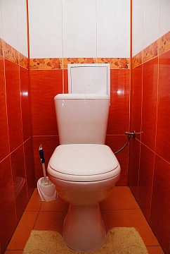 2 rooms daily in Kyiv. Solomenskiy district, Mitropolita Vasiliya Lipkovskogo St., 31 &mdash; 1137074127 image 2