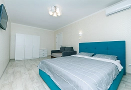 Apartments for daily rent in Kyiv near National Opera of Ukraine (65)