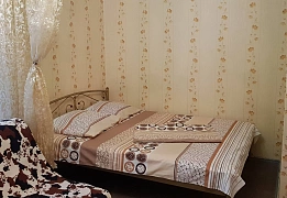 Apartments for daily rent in Kyiv near Palace of Sports (53)
