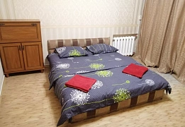 Квартиры посуточно в Амуре-Нижнеднепровском районе (15)