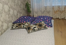 Квартиры посуточно Однокомнатные квартиры, Мелитополь (11)