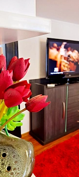 1 room daily in Ternopil. Festivalnaya St., 21 &mdash; 1295508614 image 8