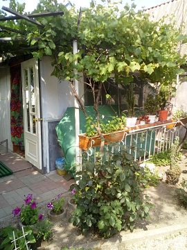 Комната посуточно в Бердянске. ул. Покровская, 66 &mdash; 1001450103 изображение 3