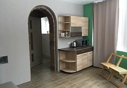 1-room apartment daily rent in Chernivtsi (9)