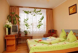 Apartments for daily rent in Kyiv near Palace of Sports (68)