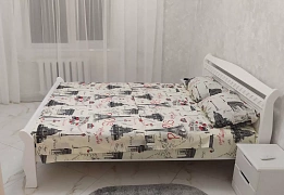 Квартиры посуточно в Заречном районе (35)