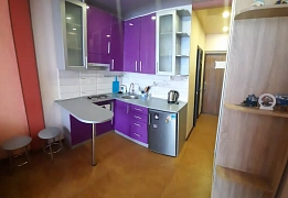 Квартири подобово в Салтівському районі (32)