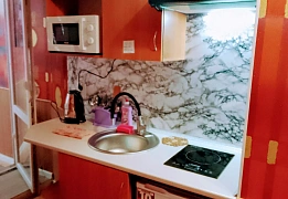Apartments for daily rent in Mykolayiv near Museum of Shipbuilding and Fleet (32)