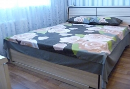 Квартиры посуточно в Амуре-Нижнеднепровском районе (69)