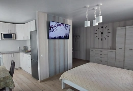 Квартиры посуточно в Ковпаковском районе (40)