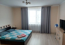 Квартиры посуточно в Заречном районе (47)