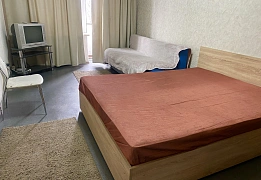 Apartments for daily rent in Kyiv near Palace of Sports (43)