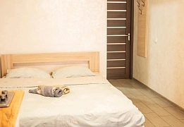 Apartments for daily rent in Ternopil near Central bus station (40)