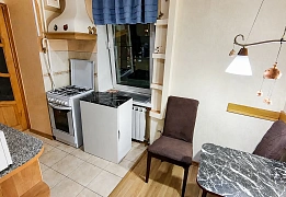 Apartments for daily rent in Kyiv near Palace of Sports (78)