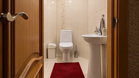house daily in Dnipro. Amur-Nizhnedneprovskiy district, Nesokrushimaya St., 406 &mdash; 1001724742 image 9