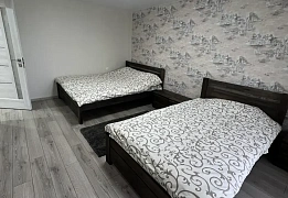 3-room apartments daily rent in Berehovo (7)