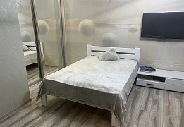 Квартиры посуточно в Приморском районе (88)