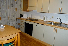Apartments for daily rent in Kyiv near Palace of Sports (8)