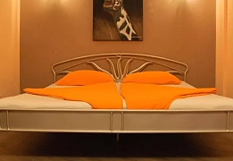 Apartments for daily rent in Kyiv near Palace of Sports (15)