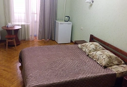 Квартиры посуточно в Приморском районе (12)