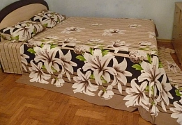 Квартиры посуточно в Амуре-Нижнеднепровском районе (13)