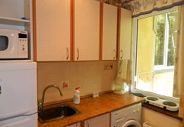 Квартиры посуточно в Приморском районе (27)