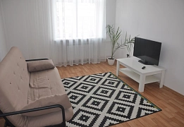 Квартиры посуточно в Заречном районе (17)
