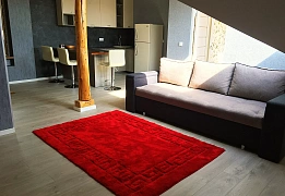 1 room daily in Uzhhorod. SHandora Petefi St., 31 &mdash; 1000938976 image 2